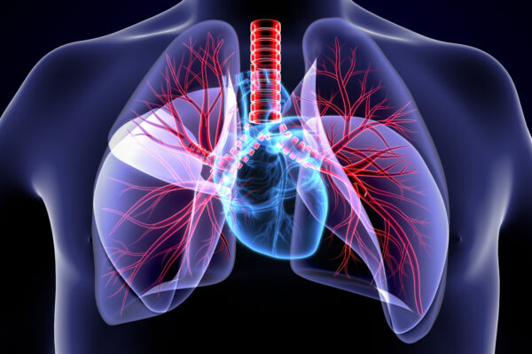 š Clear the Air This Fall: Understanding Allergic Bronchopulmonary Aspergillosis (ABPA)